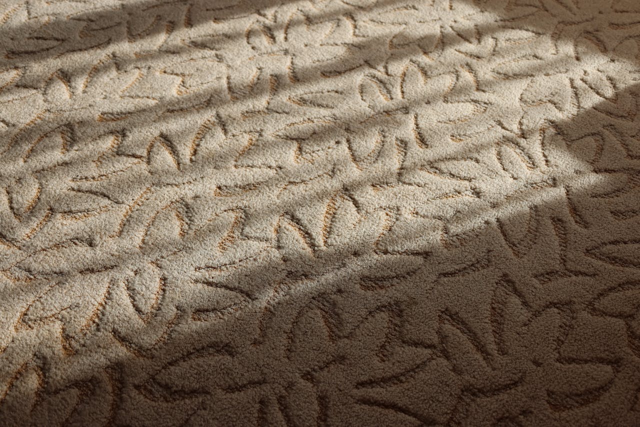 A close-up view of a textured beige carpet with a floral pattern under soft daylight, creating a warm and inviting atmosphere.